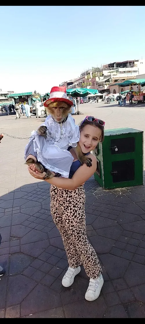 Мая И.