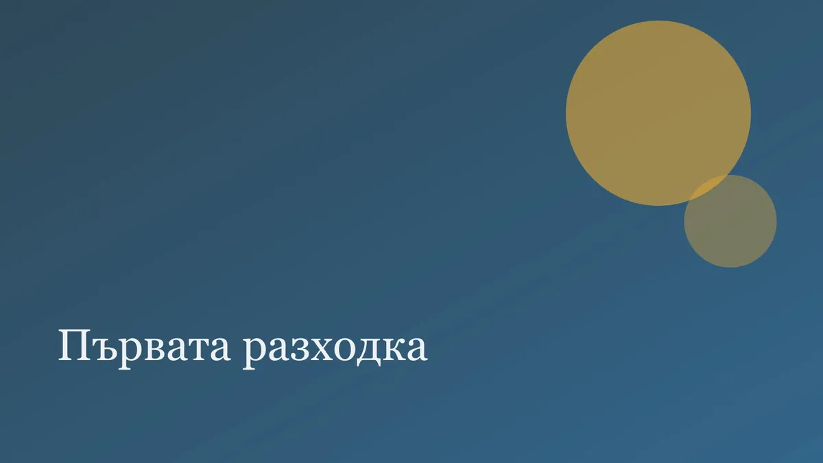 Първата разходка с кученце: какво да очаквате