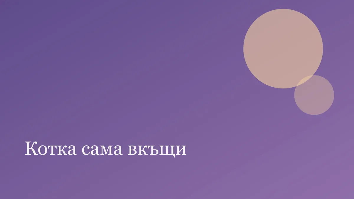 Колко време котката може да остане сама